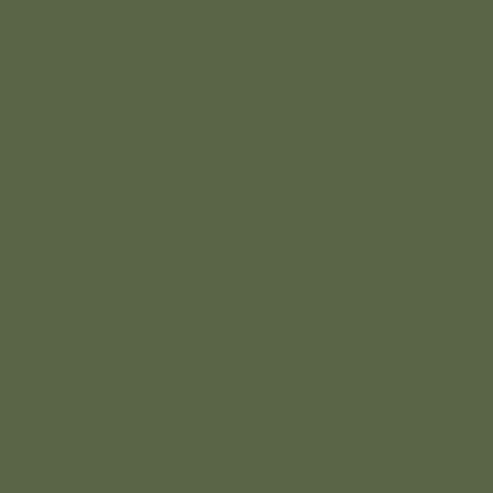 Russian Dark Olive Faded