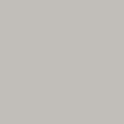 Light Grey FS 36495