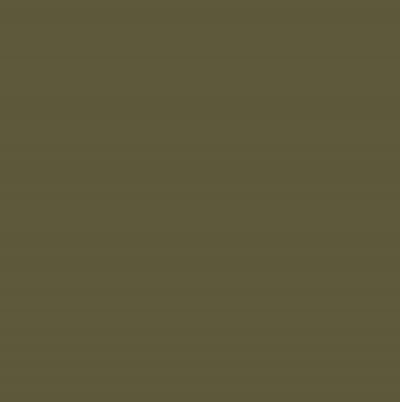 Olive Drab 41 USAAF WWII USAF