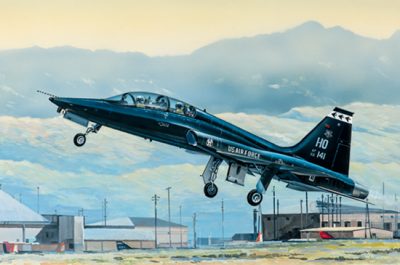 TRUMPETER 1/48 Maket US T-38A Talon